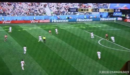 吃瓜群众来踢球的视频,一场别开生面的足球挑战