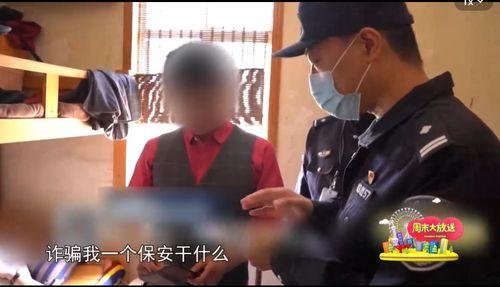 上海陈学姐吃瓜视频,揭秘网红圈幕后故事